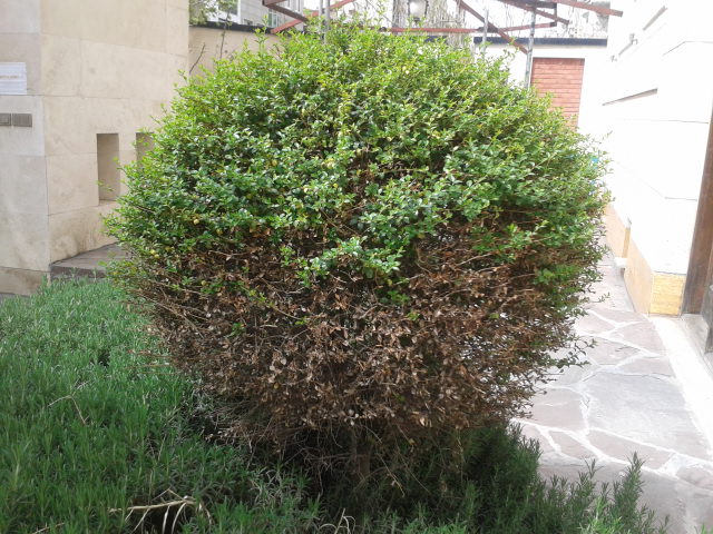 تصویر ارسالی کاربر